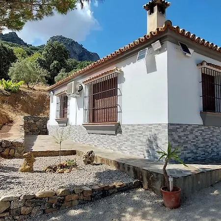 El Paraiso De Nitram